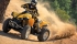 Can-Am Renegade X 800R