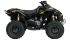 Can-Am Renegade X 800R